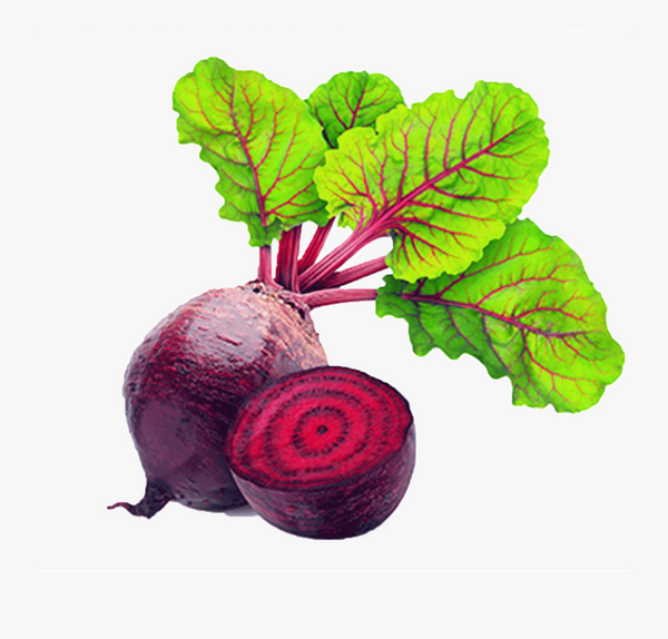 Beetroot/جذور الشمندر