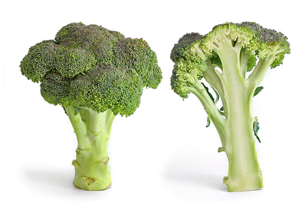 Broccoli/  ब्रोकली  /  بروکولی  /  بروكلي
