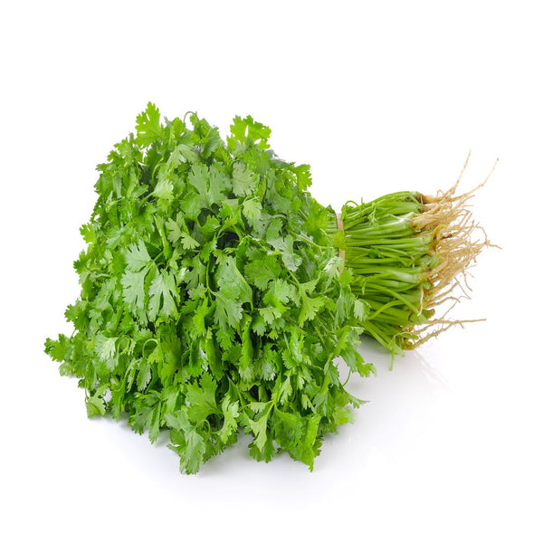 Coriander /  دھنیا  /  धनिया  /  كسبرة