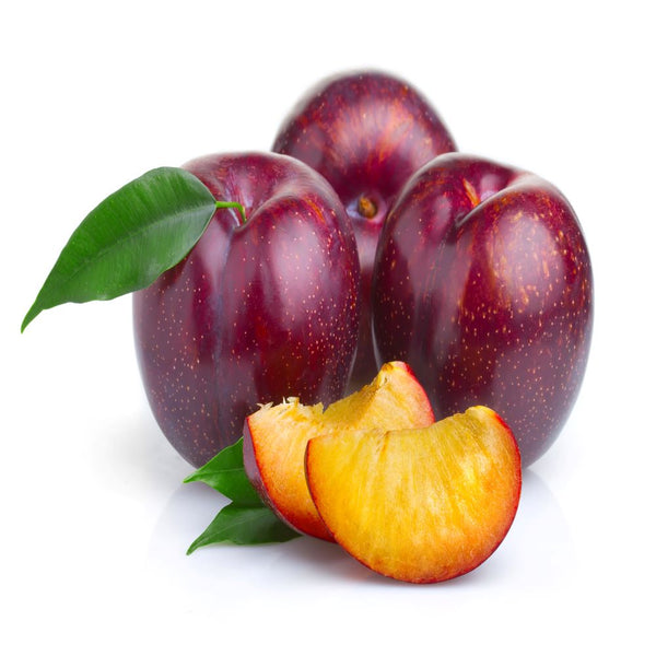 Plum Fruit