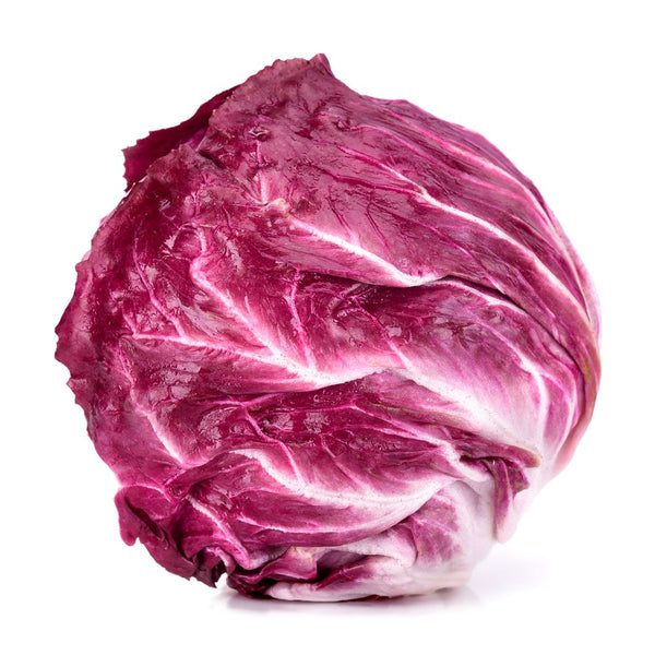 Radicchio lettuce