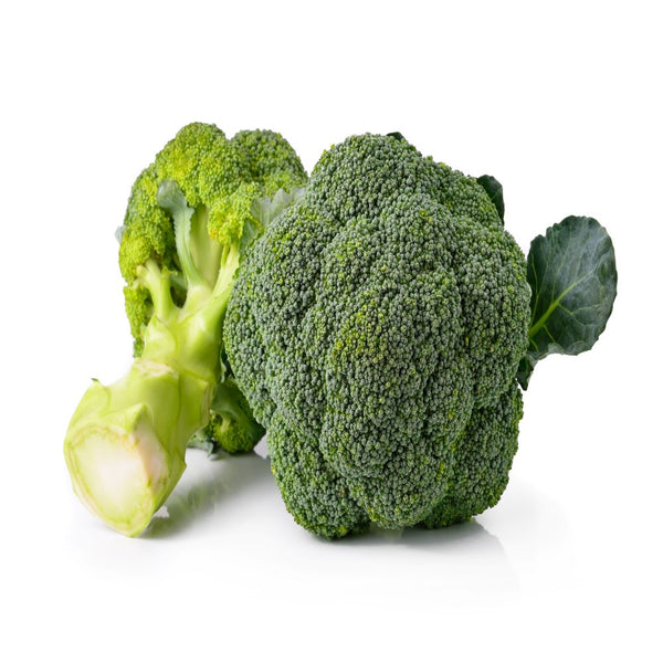 Broccoli/  ब्रोकली  /  بروکولی  /  بروكلي