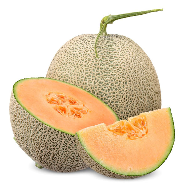 Cantaloupe (Muskmelon)  /  الشمام  /  खरबूजा  /  خربوزہ