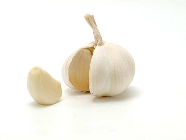 Garlic  /  لہسن  /  लहसुन  /  ثوم