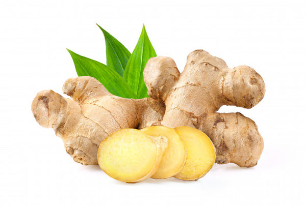 Ginger  /  ادرک  /  अदरक  /  زنجبيل