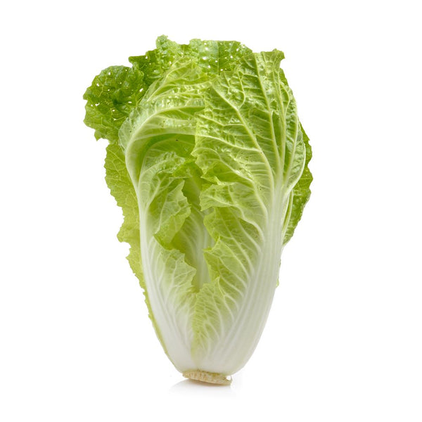 Iceberg lettuce
