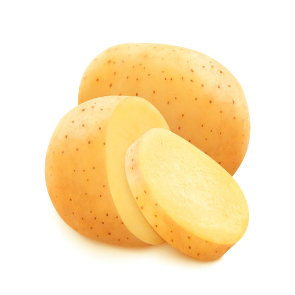 POTATO / آلو  /  आलू  / بطاطا