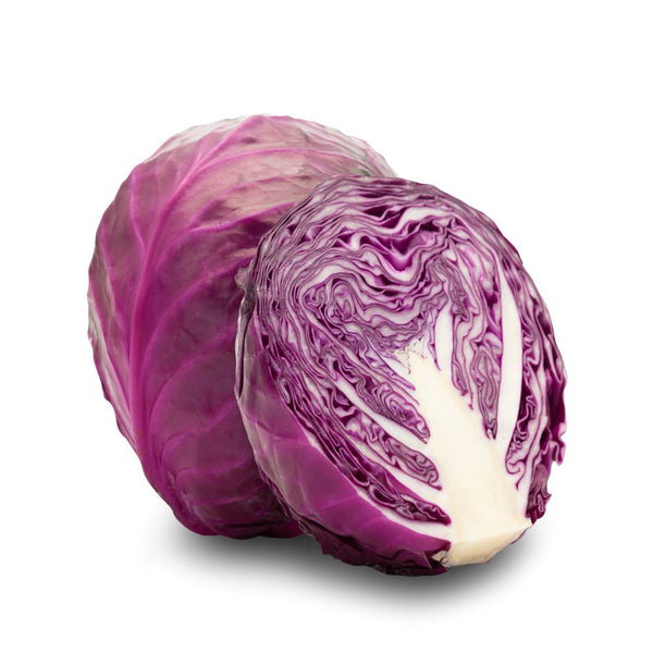 Purple cabbage